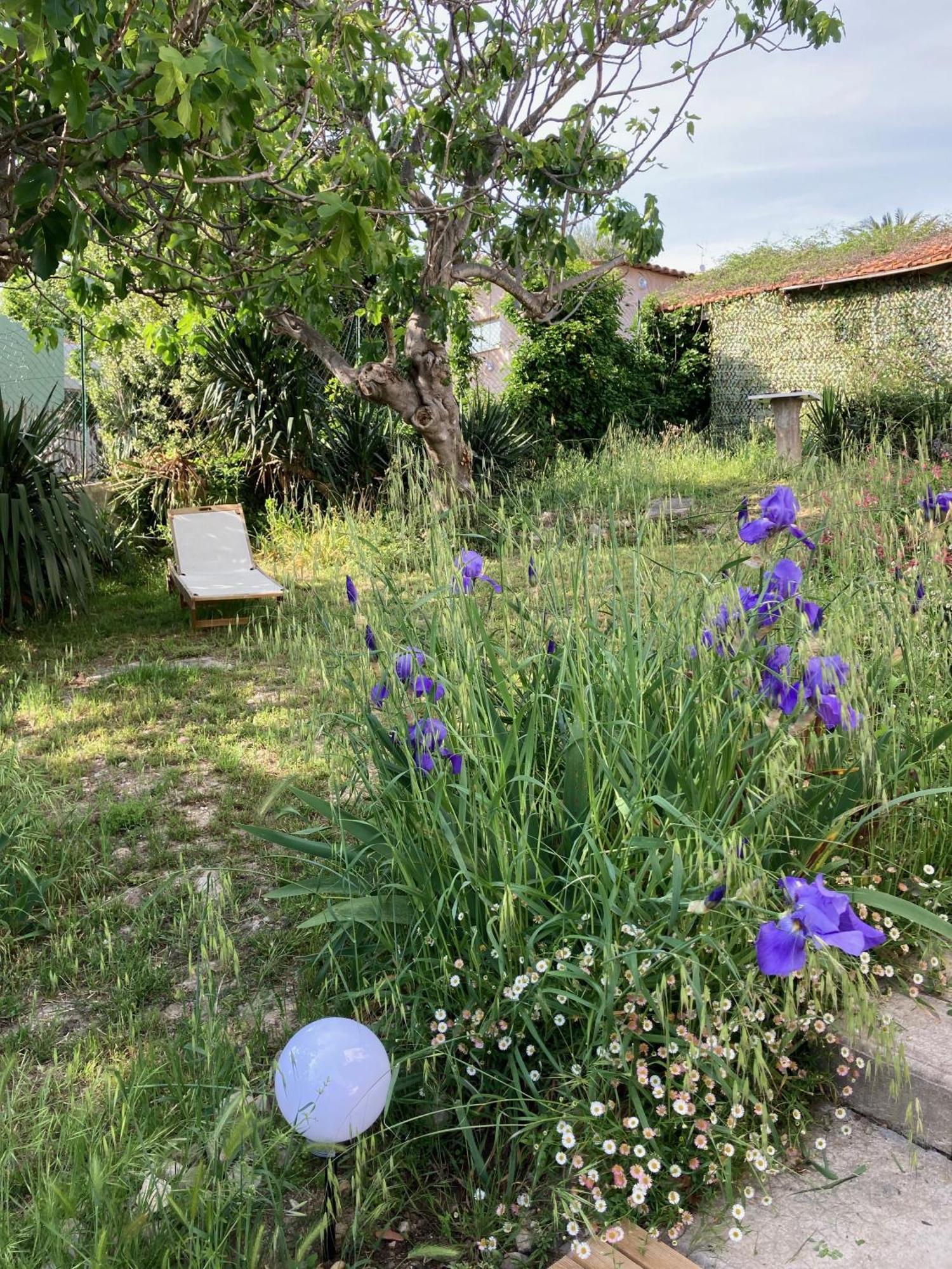 Villa Les Figuiers Cagnes-sur-Mer Exterior foto
